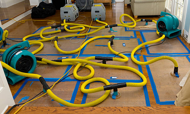 Professional Water Damage Restoration technician working in Marshall, WA